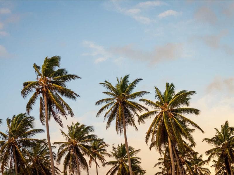 بيت مستقل مع فناء في القاسمية