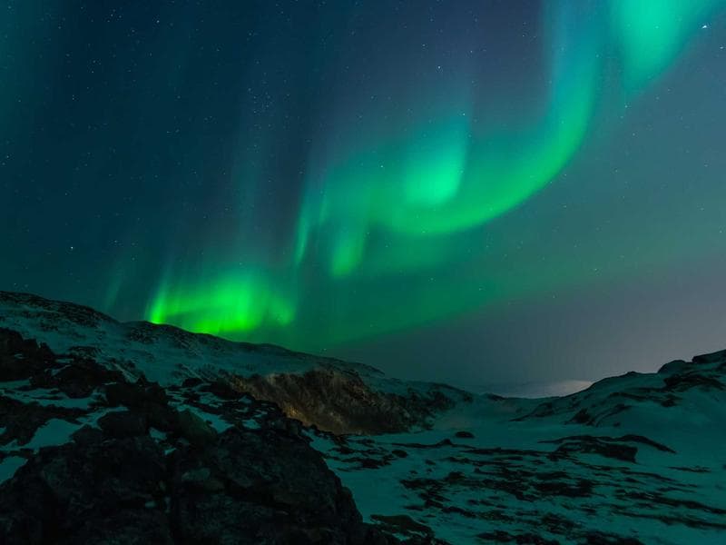 مزرعة مشجرة في البرازين