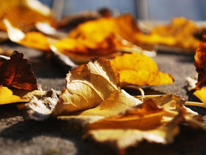 صالة أفراح فاخرة في الحلاقة