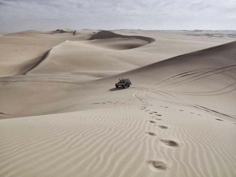 أرض ضمن التنظيم في البليصة